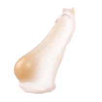 WHOLE NOSE TYPE