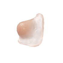 NOSE TIP TYPE